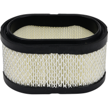 AIR FILTER POLARIS